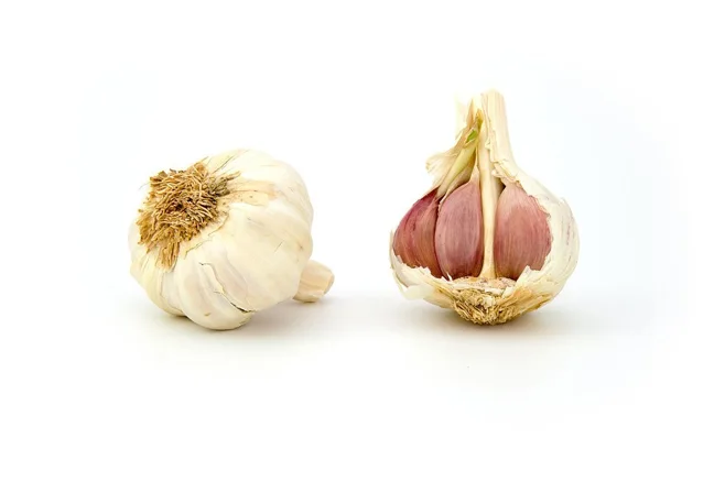 two pieces of garlic two pieces of garlic